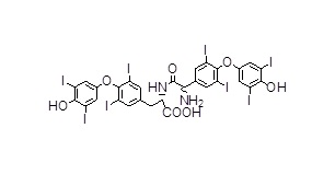 2-((S))-2-amino-2-(4-(4-hydroxy-3,5-diiodophenoxy)-3,5-diiodophenyl)acetamido)3-(4-(4-hydroxy-3,5-diiodophenoxy)-3,5-diiodophenyl)propanoic acid
