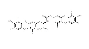 3-(4-(4-hydroxy-3,5-diiodophenoxy)-3,5-diiodophenyl)-2-(2-(4-(4-hydroxy-3,5-diiodophenoxy)-3,5-diiodophenyl)acetamido)propanoic acid