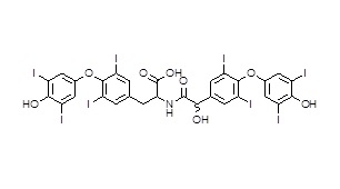 2-(2-hydroxy-2-(4-(4-hydroxy-3,5-diiodophenoxy)-3,5-diiodophenyl)acetamido)-3-(4-(4-hydroxy-3,5-diiodophenoxy)-3,5-diiodophenyl)propanoic acid