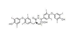2-(2-amino-2-(4-(4-hydroxy-3,5-diiodophenoxy)-3,5-diiodophenyl)acetamido)3-(4-(4-hydroxy-3,5-diiodophenoxy)-3,5-diiodophenyl)acetic acid