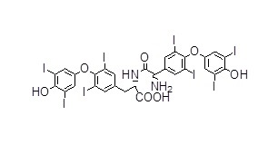 2-(2-amino-2-(4-(4-hydroxy-3,5-diiodophenoxy)-3,5-diiodophenyl)acetamido)3-(4-(4-hydroxy-3,5-diiodophenoxy)-3,5-diiodophenyl)propanoic acid