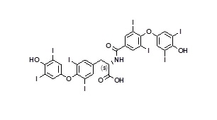 2-(4-(4-hydroxy-3,5-diiodophenoxy)-3,5-diiodobenzamido)-3-(4-(4-hydroxy-3,5-diiodophenoxy)-3,5-diiodophenyl)propanoic acid (Amide-bridged)